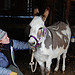 Lily and me