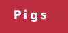 Pigs
